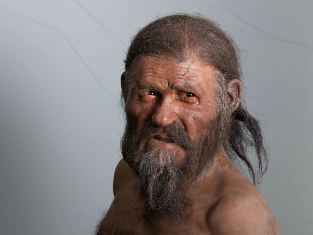  tzi The Iceman Genetic Secrets Of A 5 300 Year Old Mummy History