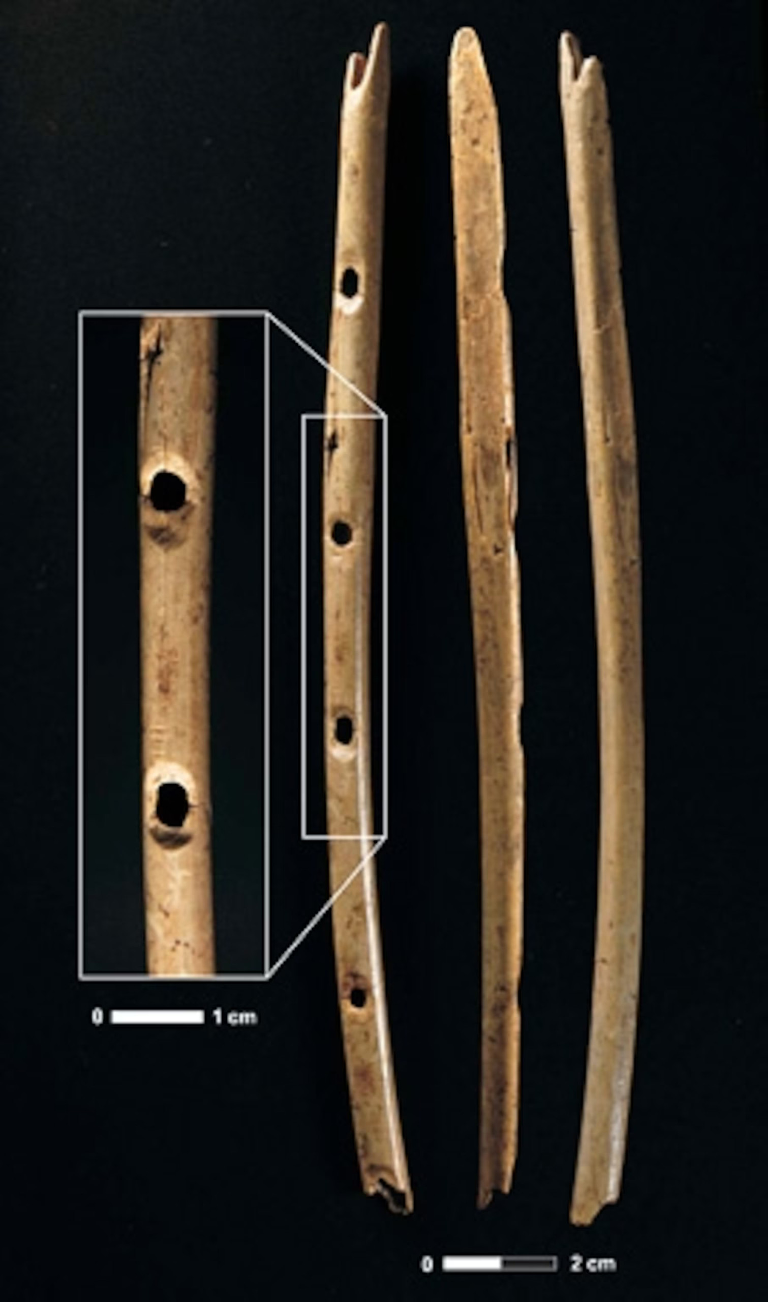 The World's Oldest Musical Instrument: A Melodic Journey Through Time ...