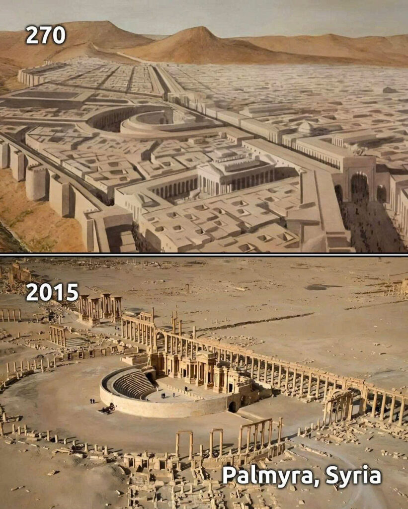 The Rise and Fall of Palmyra: From Desert Oasis to Ancient Trade Hub ...